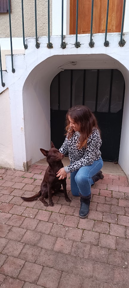 Delphine de Delf'Inn Dog